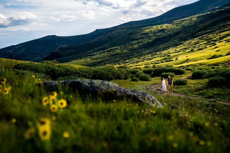 Guanella Pass Wildflowers Summer Engagement