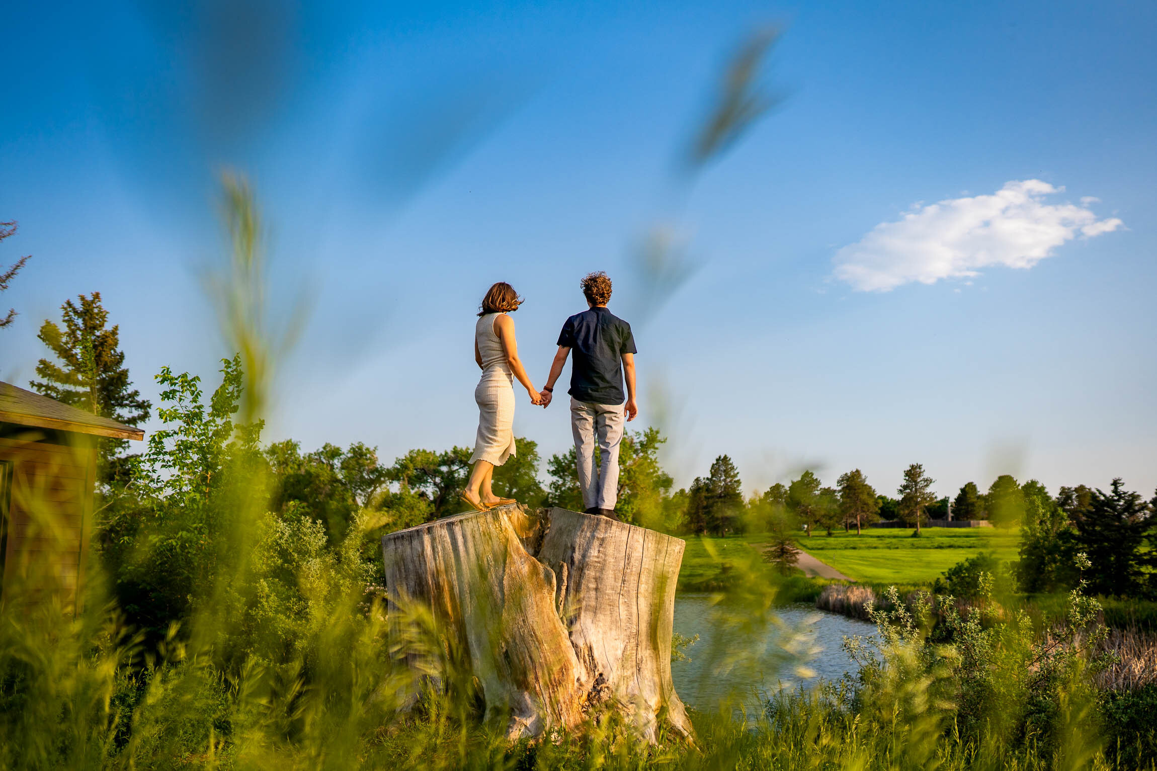 Engaged couple embraces for a portrait in tall windswept grass during golden hour, Engagement Session, Engagement Photos, Engagement Photos Inspiration, Engagement Photography, Engagement Photographer, Winter Engagement Photos, Mountain Engagement Photos, Denver engagement session, Denver engagement photos, Denver engagement photography, Denver engagement photographer, Denver engagement inspiration, Colorado engagement session, Colorado engagement photos, Colorado engagement photography, Colorado engagement photographer, Colorado engagement inspiration