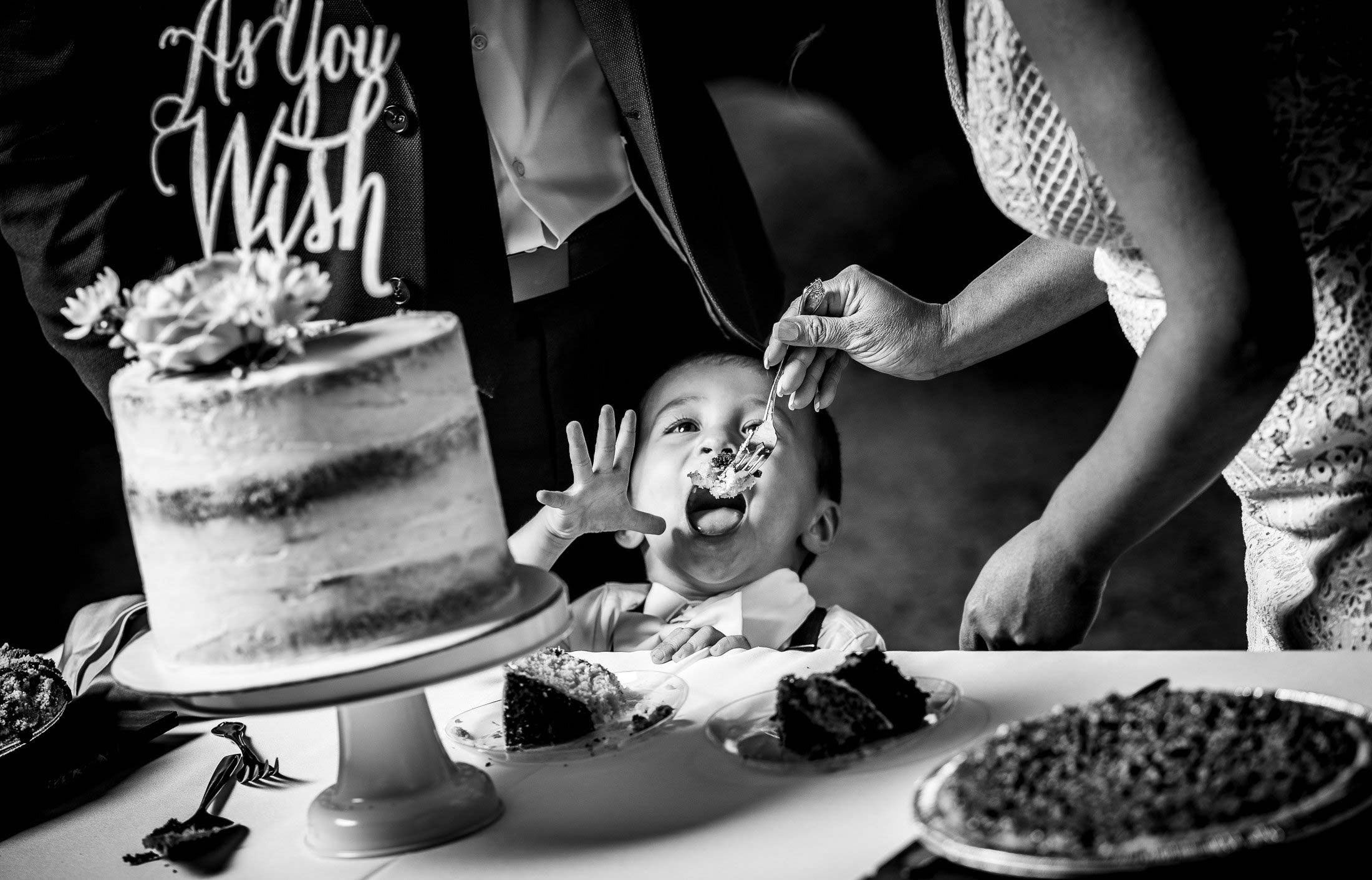 Bride feeds her nephew cake during the reception, wedding photos, wedding photography, wedding photographer, wedding inspiration, wedding photo inspiration, mountain wedding, YMCA of the Rockies wedding, YMCA of the Rockies wedding photos, YMCA of the Rockies wedding photography, YMCA of the Rockies wedding photographer, YMCA of the Rockies wedding inspiration, YMCA of the Rockies wedding venue, Estes Park wedding, Estes Park wedding photos, Estes Park wedding photography, Estes Park wedding photographer, Colorado wedding, Colorado wedding photos, Colorado wedding photography, Colorado wedding photographer, Colorado mountain wedding, Colorado wedding inspiration