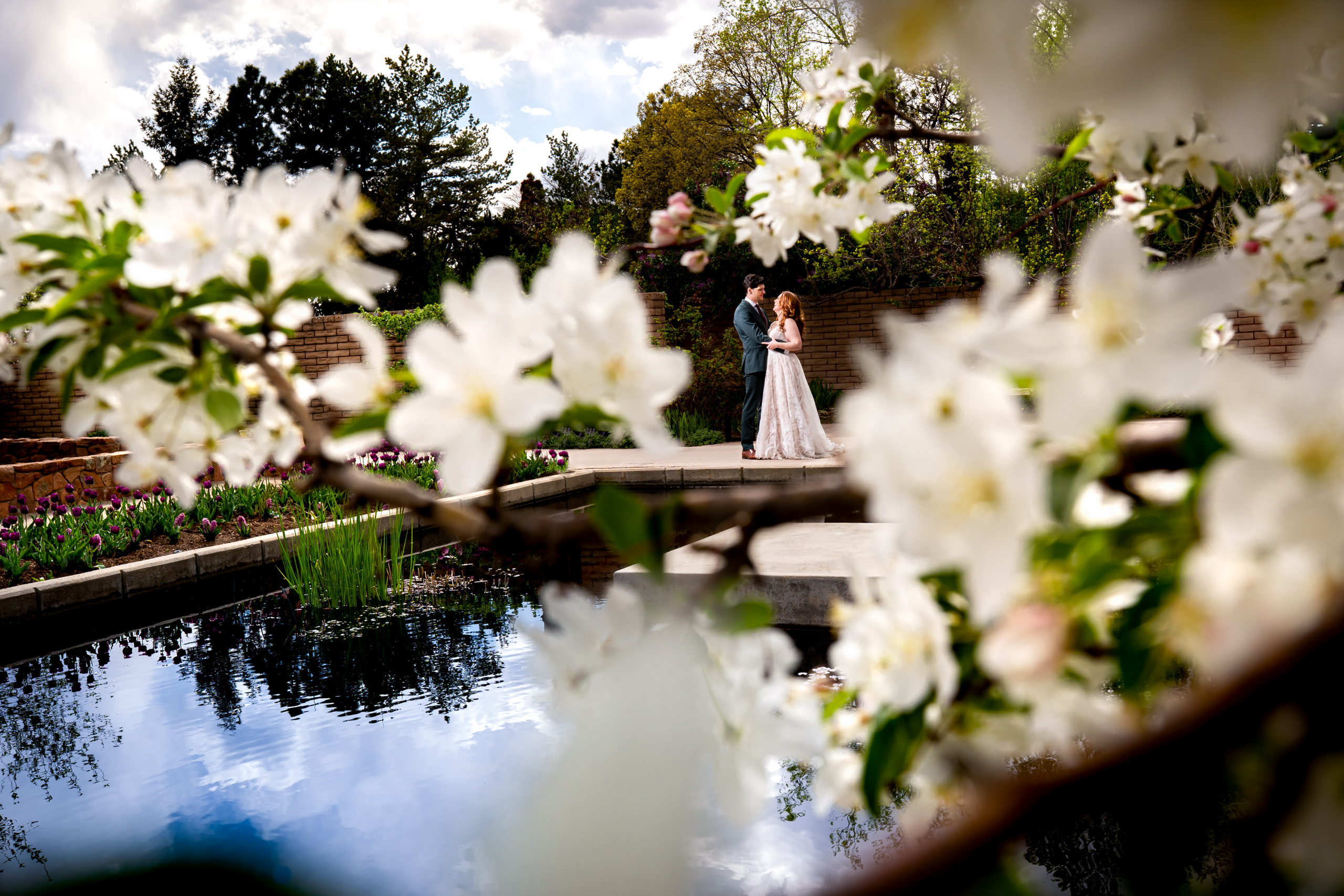 Bride and groom pose for portraits by a reflection pond surrounded by flowering trees and blossoming tulips, wedding photos, wedding photography, wedding photographer, wedding photo inspiration, Denver Botanic Garden wedding, Denver Botanic Garden wedding photos, Denver Botanic Garden wedding photography, Denver Botanic Garden wedding inspiration, Denver wedding venue, Denver wedding photos, Denver wedding photography, Denver wedding photographer, Colorado wedding photography
