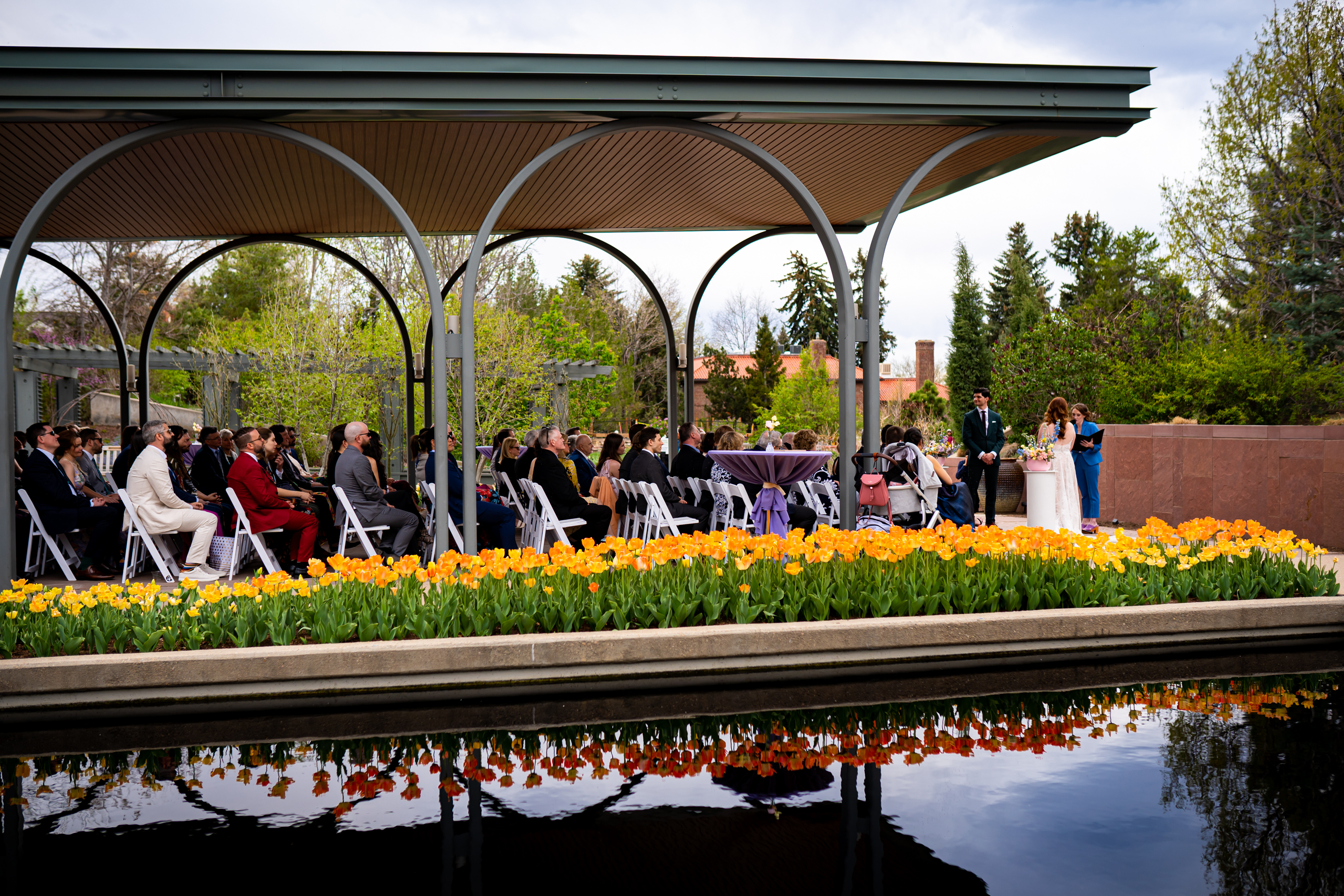 Wide photograph of a wedding ceremony at the Denver Botanic Garden's Annual Garden with the tulips reflected in the pond, wedding photos, wedding photography, wedding photographer, wedding photo inspiration, Denver Botanic Garden wedding, Denver Botanic Garden wedding photos, Denver Botanic Garden wedding photography, Denver Botanic Garden wedding inspiration, Denver wedding venue, Denver wedding photos, Denver wedding photography, Denver wedding photographer, Colorado wedding photography