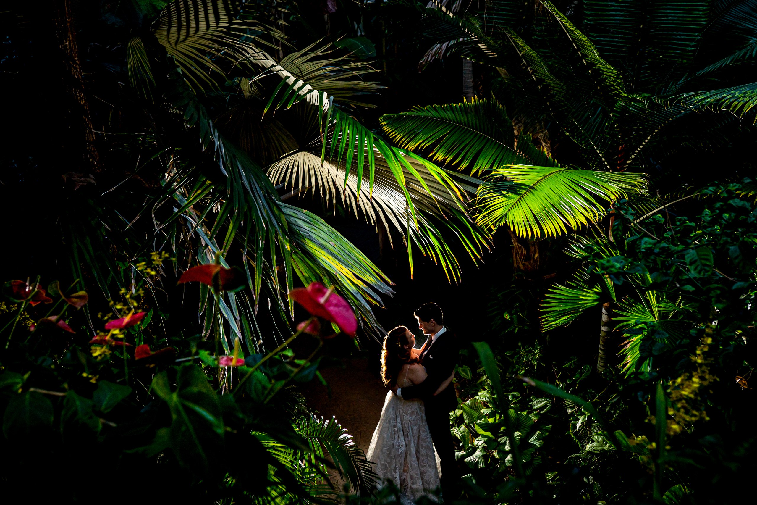 Bride and groom pose for a backlit portrait surrounded by tropical plants that are illuminated, wedding photos, wedding photography, wedding photographer, wedding photo inspiration, Denver Botanic Garden wedding, Denver Botanic Garden wedding photos, Denver Botanic Garden wedding photography, Denver Botanic Garden wedding inspiration, Denver wedding venue, Denver wedding photos, Denver wedding photography, Denver wedding photographer, Colorado wedding photography