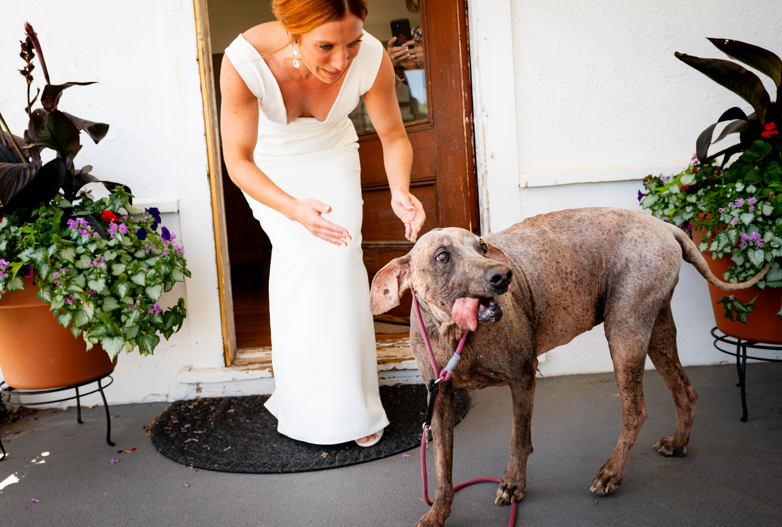 Ashley & Alex's wedding at The Manor House in June, in Littleton, Colorado. Manor House Wedding, Littleton, Denver, Colorado, Denver Wedding Photographer, Denver Wedding Photos, Denver Wedding