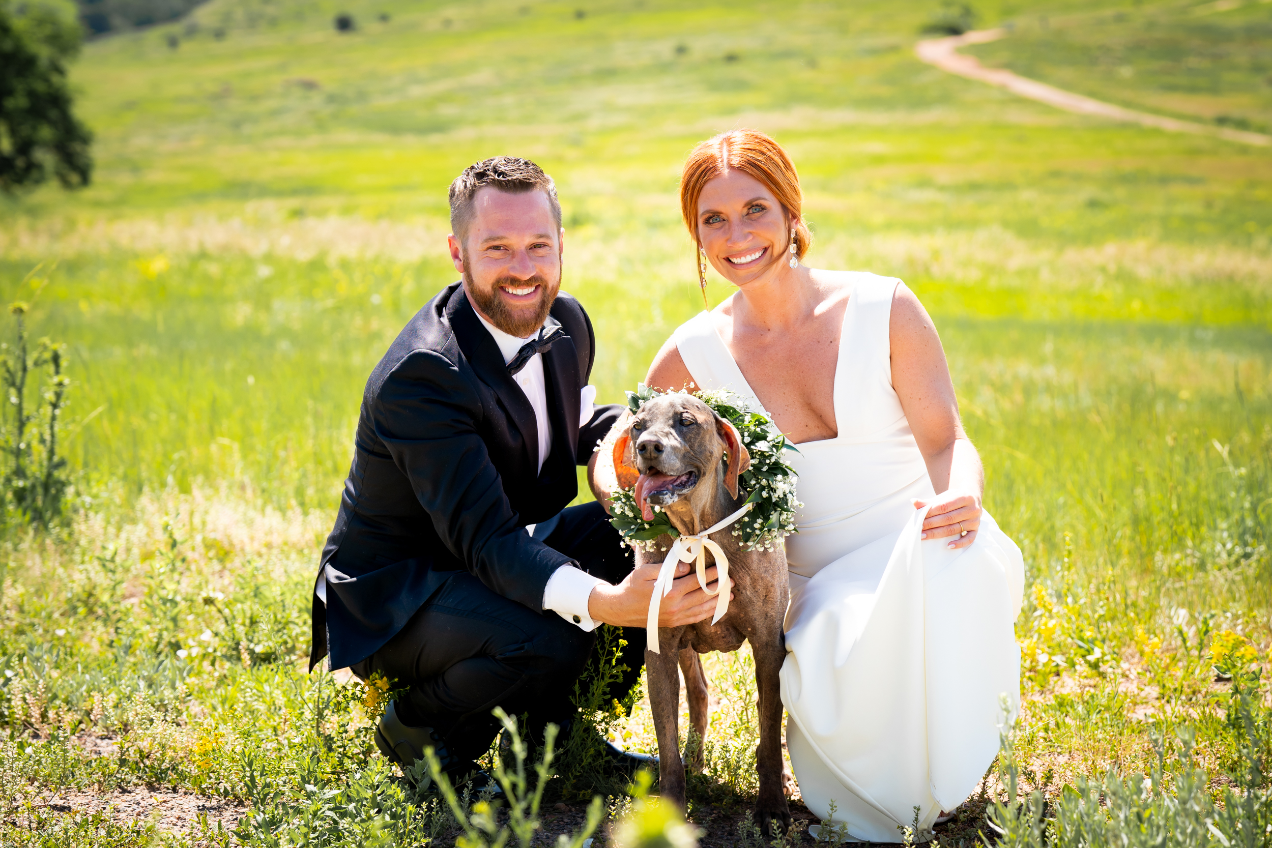 Ashley & Alex's wedding at The Manor House in June, in Littleton, Colorado. Manor House Wedding, Littleton, Denver, Colorado, Denver Wedding Photographer, Denver Wedding Photos, Denver Wedding, Dogs with bride and groom