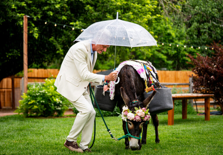 Two grooms celebrate their wedding with their closest family and friends at The Lyons Farmette in Lyons, CO
