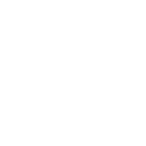 fearless award winner logo