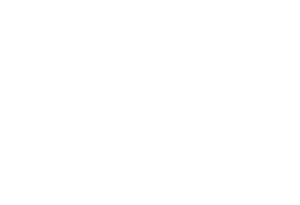 mountainside bride logo